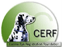 Canine Eye Registry Foundation