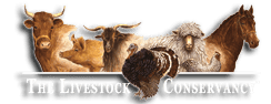 The Livestock Conservancy logo